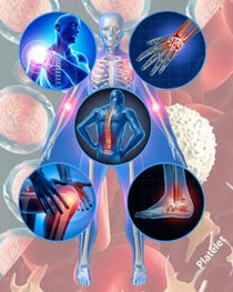 Regenerative-Medicine_Coastal-virginia-spine-pain