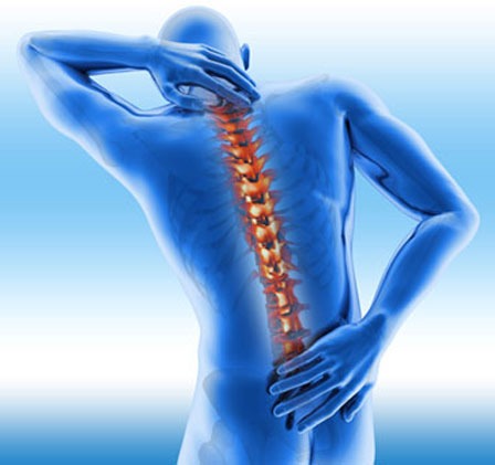 spine-back-about-us